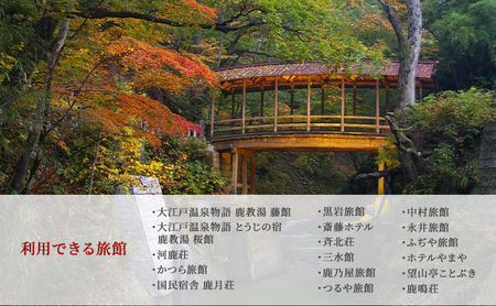 旅行 長野 信州 鹿教湯温泉 宿泊 補助券 20枚セット 60,000円 温泉 旅館 旅行券 宿泊券 施設利用券 利用券 トラベル チケット ホテル券 ホテルクーポン ホテル 長野県