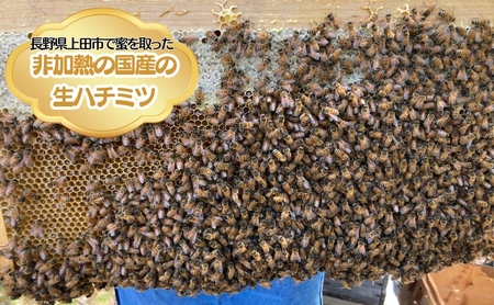 国産生はちみつ　百花・クリ　600g 2本セット　蜂蜜 食べ比べ 上田市 長野県