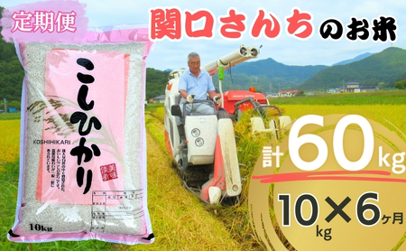 米 令和7年産 定期便 6ヶ月 関口さんちのお米 コシヒカリ 10kg お米 こめ コメ 新米　精米 白米 ご飯 こしひかり 長野 信州 6回 半年 お楽しみ