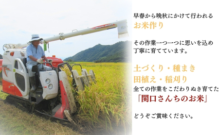 米 令和7年産 定期便 6ヶ月 関口さんちのお米 コシヒカリ 10kg お米 こめ コメ 新米　精米 白米 ご飯 こしひかり 長野 信州 6回 半年 お楽しみ