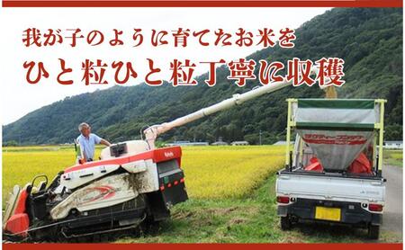 米 令和7年産 定期便 6ヵ月 コシヒカリ 関口さんちのお米 10kg お米 白米 ブランド米 定期 6回