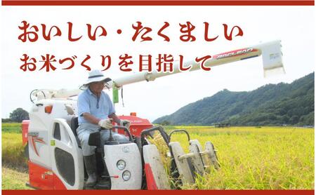 米 令和7年産 コシヒカリ 関口さんちのお米 10kg 1回 回数 お米 精米 白米 ブランド米 ご飯