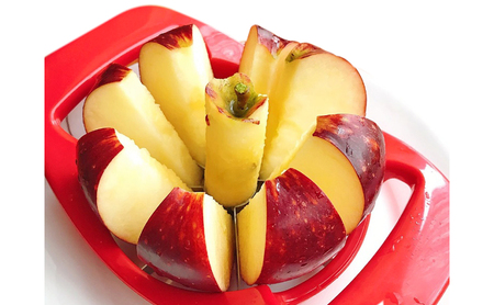 【2026年産】 りんご 秋映 約10kg 林檎 リンゴ 10kg 果物 くだもの フルーツ デザート 旬の果物 旬のフルーツ 長野県 長野