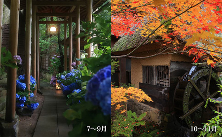 【長野旅行】別所温泉旅館花屋宿泊補助券3000円分 信州 旅館 旅行券 施設利用券 トラベル チケット ホテル券 ホテルクーポン