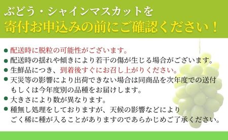 信州上田 シャインマスカット約1kg（2～3房）