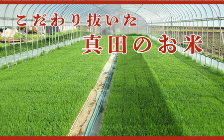 米 令和7年産 定期便 6ヶ月 関口さんちのお米 コシヒカリ 5kg お米 こめ コメ 新米 精米 白米 ご飯 こしひかり 長野 信州 6回 半年 お楽しみ