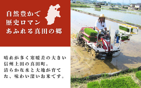 米 令和7年 関口さんちのお米 コシヒカリ 3kg お米 こめ コメ 新米 精米 白米 ご飯 こしひかり 長野 信州