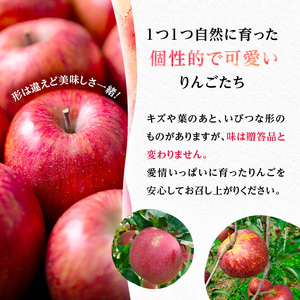 りんご 信州上田産 サンふじ 家庭用 約3kg 8～9個 林檎 リンゴ 3kg サンフジ 果物 くだもの フルーツ デザート 旬の果物 旬のフルーツ 傷 長野県 長野