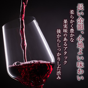 ソラリス ラ・クロワ 6本セット ワイン 赤ワイン 受賞歴多数あり お酒 酒 アルコール 信州 長野