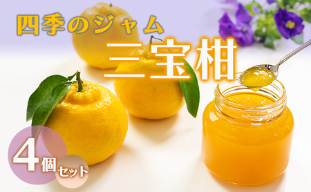 ジャム 長野 四季のジャム 三宝柑 4個 セット 飯島商店 みかんジャム みかん 柑橘 朝ごはん 朝食 パン フルーツ 果物 デザート スイーツ ギフト プレゼント 贈答 贈り物 調味料 加工食品 ミカンジャム ミカン 蜜柑 長野県 上田市 上田