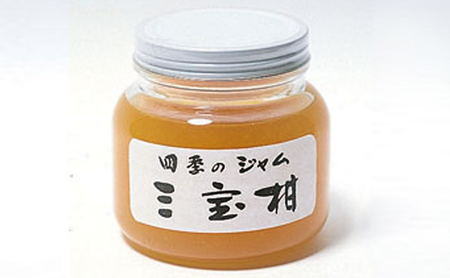 ジャム 長野 四季のジャム 三宝柑 4個 セット 飯島商店 みかんジャム みかん 柑橘 朝ごはん 朝食 パン フルーツ 果物 デザート スイーツ ギフト プレゼント 贈答 贈り物 調味料 加工食品 ミカンジャム ミカン 蜜柑 長野県 上田市 上田