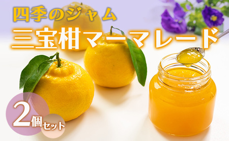ジャム 長野 四季のジャム 三宝柑 マーマレード 2個 セット 飯島商店 スライスした皮入り みかんジャム みかん 柑橘 朝ごはん 朝食 パン フルーツ 果物 デザート スイーツ ギフト プレゼント 贈答 贈り物 調味料 長野県 上田市 上田