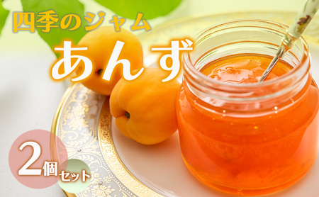 ジャム 長野 四季のジャム あんず 2個 セット 飯島商店 あんずジャム 朝ごはん 朝食 パン フルーツ 果物 デザート スイーツ ギフト プレゼント 贈答 贈り物 調味料 加工食品 アンズジャム アンズ 杏 杏子 長野県 上田市 上田