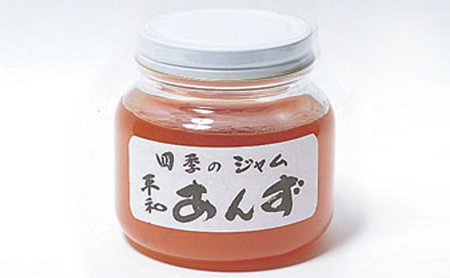 ジャム 長野 四季のジャム あんず 4個 セット 飯島商店 あんずジャム 朝ごはん 朝食 パン フルーツ 果物 デザート スイーツ ギフト プレゼント 贈答 贈り物 調味料 加工食品 アンズジャム アンズ 杏 杏子 長野県 上田市 上田