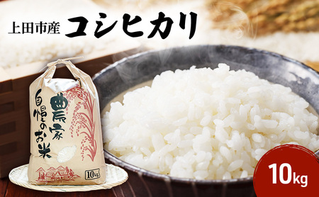 米 長野 コシヒカリ 10kg お米 こめ コメ おこめ 白米 精米 こしひかり 信州 長野県 上田市 上田