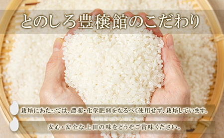 米 長野 コシヒカリ 10kg お米 こめ コメ おこめ 白米 精米 こしひかり 信州 長野県 上田市 上田