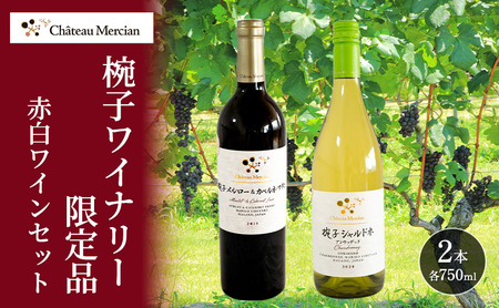 ワイン 飲み比べセット 750ml 2本セット 赤ワイン 白ワイン 赤白セット ギフト シャトーメルシャン椀子ワイナリー シャトーメルシャン ワイン お酒 酒 アルコール 宅飲み お祝い 記念日 飲み比べ セット 贈り物 プレゼント 信州 長野 長野県 上田市