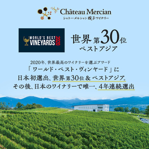 限定 赤ワイン 飲み比べセット 750ml 2本 セット 椀子 椀子シラー ギフト シャトーメルシャン椀子ワイナリー シャトーメルシャン ワイン お酒 酒 アルコール 家飲み 宅飲み お祝い 記念日 飲み比べ 贈り物 プレゼント 信州 長野 長野県 上田市