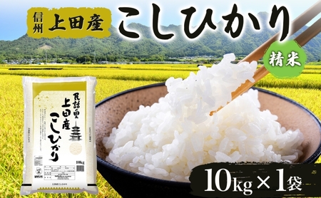 【新米予約】令和6年産 長野県 信州 上田市産 こしひかり 10kg×1袋 計10kg 精米 白米 ブランド米  銘柄米 コシヒカリ ご飯 ライス お弁当 おにぎり 主食 国産 日本産 和食 お取り寄せ