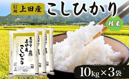 令和7年産 長野県 信州 上田市産 こしひかり 10kg×3袋 計30kg 精米 白米 ブランド米  銘柄米 コシヒカリ 産地直送 主食 国産 日本産 和食 お取り寄せ