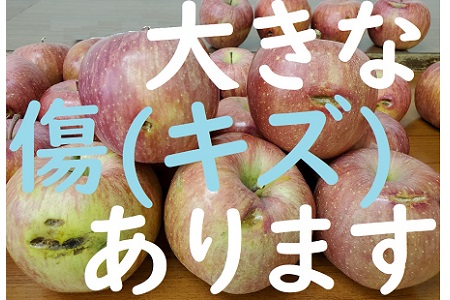 910-007【傷あり】合戦りんご「サンふじ」10kg【台風19号災害支援】