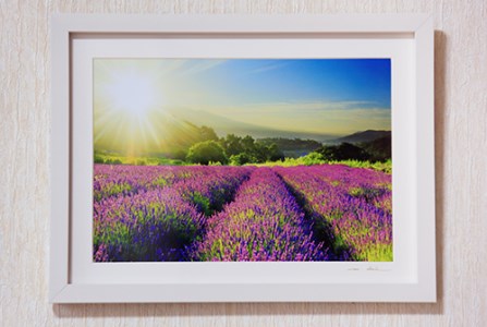 080-008信州上田癒しの風景 写真家岡田光司 W4切サイズ額付きオリジナルプリント