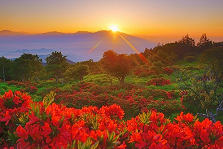 1 005信州上田癒しの風景 写真家岡田光司 全紙サイズ額付きオリジナルプリント 長野県上田市 ふるさと納税サイト ふるなび