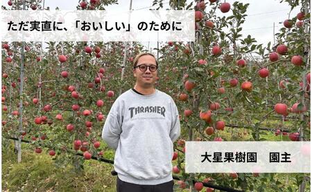 シナノスイート　5kg　りんご リンゴ 林檎 果物 フルーツ 長野