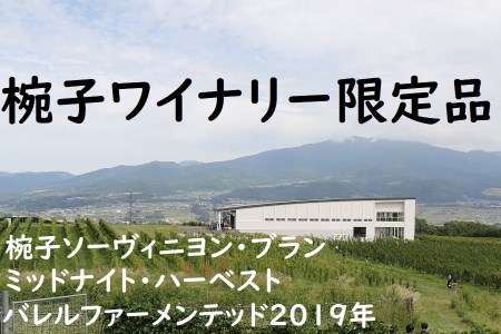 018-028椀子ソーヴィニヨン・ブラン ミッドナイト・ハーベストバレルファーメンテッド2019年(椀子限定品)