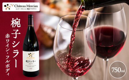 ワイン 椀子シラー 750ml シャトー・メルシャン シラー 赤ワイン フルボディ お酒 酒 アルコール ギフト 贈り物 プレゼント