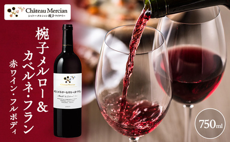 ワイン 椀子メルロー カベルネ・フラン 750ml シャトー・メルシャン メルロー 赤ワイン フルボディ お酒 酒 アルコール ギフト 贈り物 プレゼント