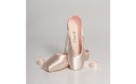 チケット トゥシューズ バレエシューズ 10000円分 チャコット 補助券 バレエ シューズ トウシューズ オーダーメイド 直営店舗 10000円 長野 信州 ※離島への配送不可