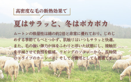 信州上田製ムートン（羊毛皮）二匹物　毛長35mm グリーン