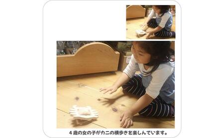 木のおもちゃ/かに (水陸両用 木のおもちゃ) お風呂で遊ぼう！ 6ヶ月 1歳 プレゼント 2歳 3歳 赤ちゃん おもちゃ 老人 リハビリ