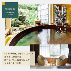 宿泊券 長野 別所温泉 90000円 ギフト券 券 チケット クーポン 旅行 観光 宿泊