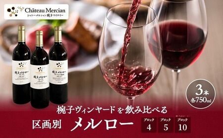 売り切れ 072-005 2020年ヴィンテージの限定品・区画別メルロー3本セット ※着日指定不可