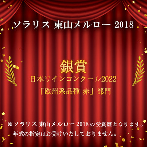 ソラリス 東山メルロー ワイン 赤ワイン 受賞歴多数あり お酒 酒 アルコール 信州 長野