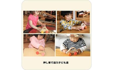 木のおもちゃ/押しくるま psc  押し車 日本製 赤ちゃん おもちゃ 知育玩具 誕生祝い 6ヶ月 7ヶ月 8ヶ月 9ヶ月 10ヶ月 1歳 1歳半 2歳 3歳 誕生日ギフト 出産祝い 男の子 女の子 木工職人手作り 木育 木製