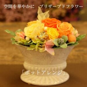 空間を華やかに　プリザーブドフラワー「ポットアレンジ」 ブルー系