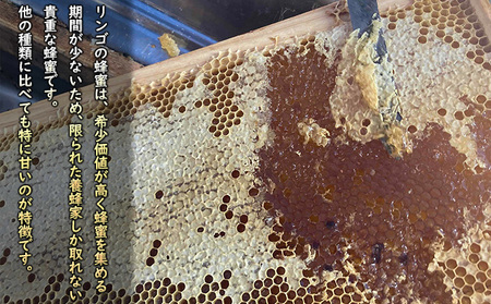 国産生はちみつ　アカシア・リンゴ600g 2本セット