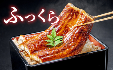 「うなぎのまち岡谷」の会 食事券 共通利用券24,000円分