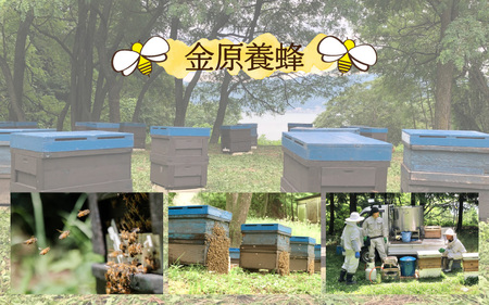 信州産蜂蜜 百花 1.2kg / 国産 純粋はちみつ
