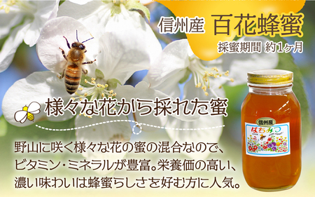 はちみつ 信州産 アカシア 百花 各1.2kg | はちみつ