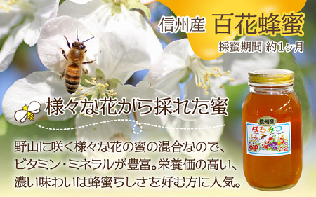 信州産蜂蜜ペアセット（トチ・百花 各1.2kg）