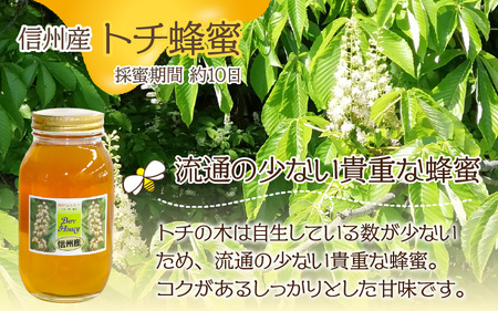 信州産蜂蜜ペアセット（トチ・百花 各1.2kg） | 長野県岡谷市