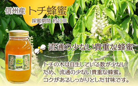 信州産蜂蜜ペアセット（アカシア・トチ　各1.2kg）