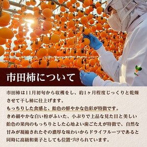 【ワインのおつまみにもオススメ】市田柿フロマージュ　200g【配送不可地域：離島】【1033712】