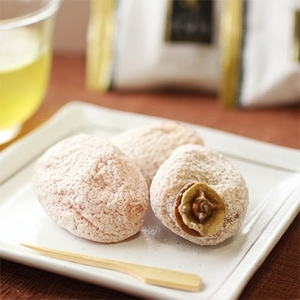 長野 ・ 信州 の 特産品 選りすぐり 市田柿 10個 セット ご自宅用 | 果物 くだもの フルーツ 柿 かき 市田柿 長野県 信州 南信州 飯田市