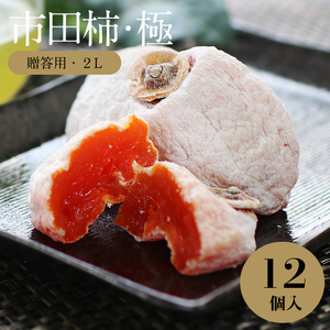信州 特産品 市田柿 極 贈答用 2Lサイズ 12個入 〈2026年1月上旬～2月下旬発送〉| 果物 くだもの フルーツ 柿 干し柿 かき 長野県 信州 南信州 飯田市