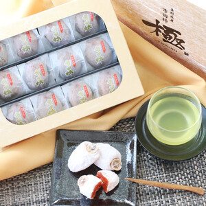 信州 特産品 市田柿 極 贈答用 2Lサイズ 12個入 〈2026年1月上旬～2月下旬発送〉| 果物 くだもの フルーツ 柿 干し柿 かき 長野県 信州 南信州 飯田市